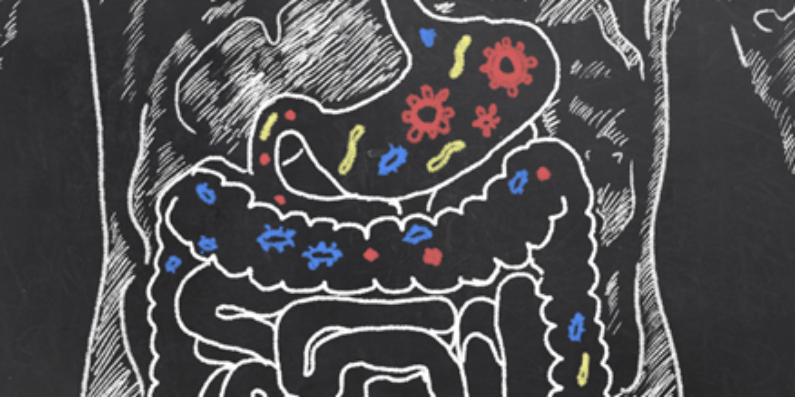 Boulder-Medical-Center-Fasting