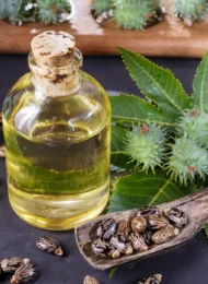 shutterstock_1042906594_6b966f3d-ccb9-4a67-84c0-6f219d131ee8